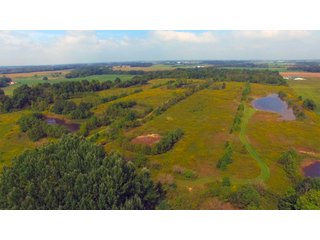 Miami County, Indiana farmland - REAL ESTATE AUCTION - 72.5+/- ACRES OFFERED IN 4 TRACTS IN MIAMI COUNTY, INDIANA
